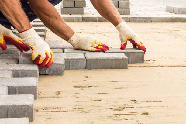 Best Local Driveway Pavers  in Sidney, IL